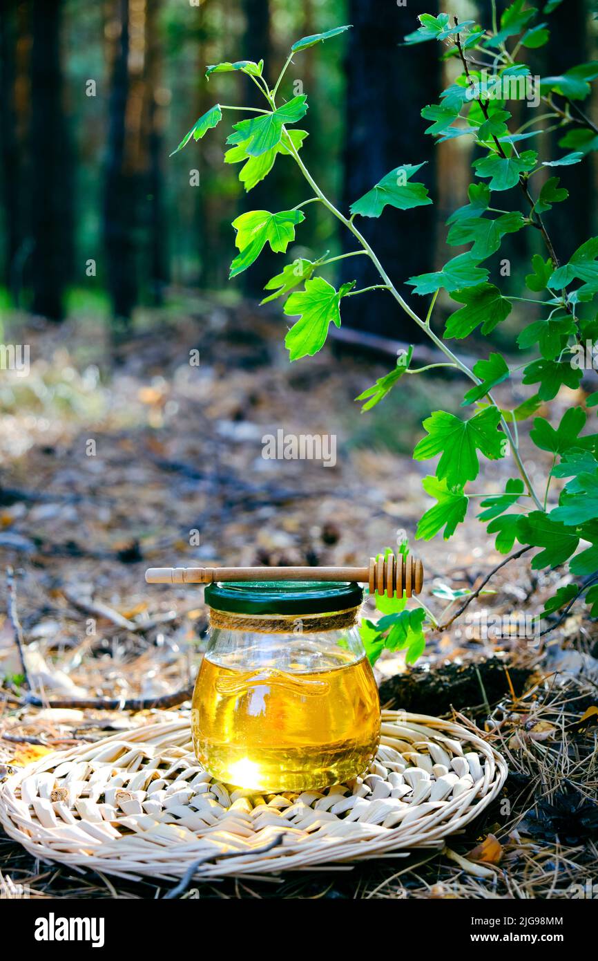 Pot de miel frais et cuillère pour le miel dans la forêt Banque D'Images