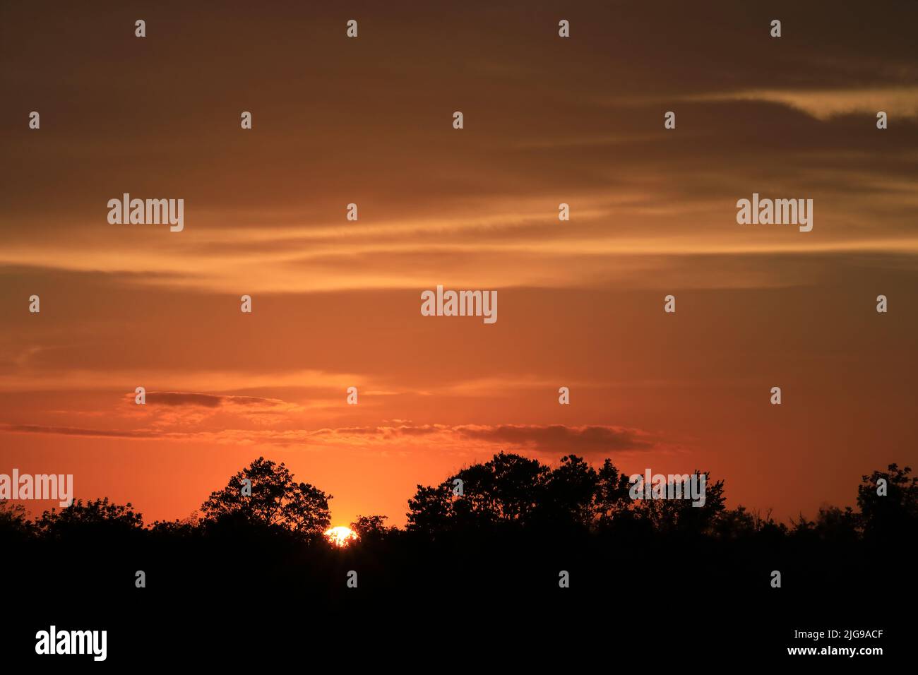 Coucher de soleil dans le parc Banque D'Images