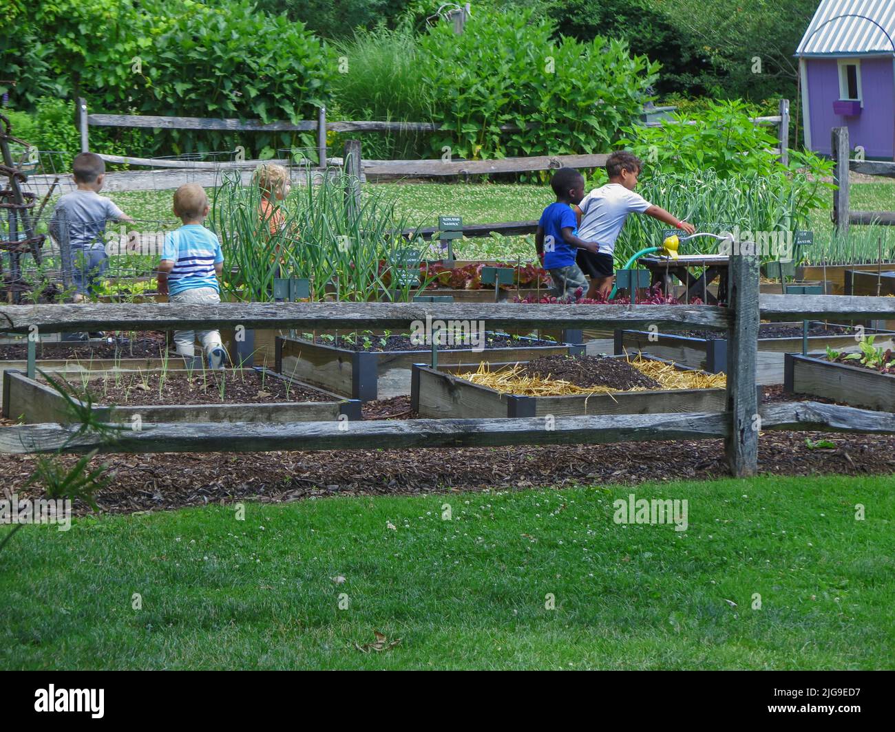 Berkshire Botanical Garden, Stockbridge Massachusetts, un jardin agricole éducatif pour les enfants et les adultes. ÉTATS-UNIS Banque D'Images