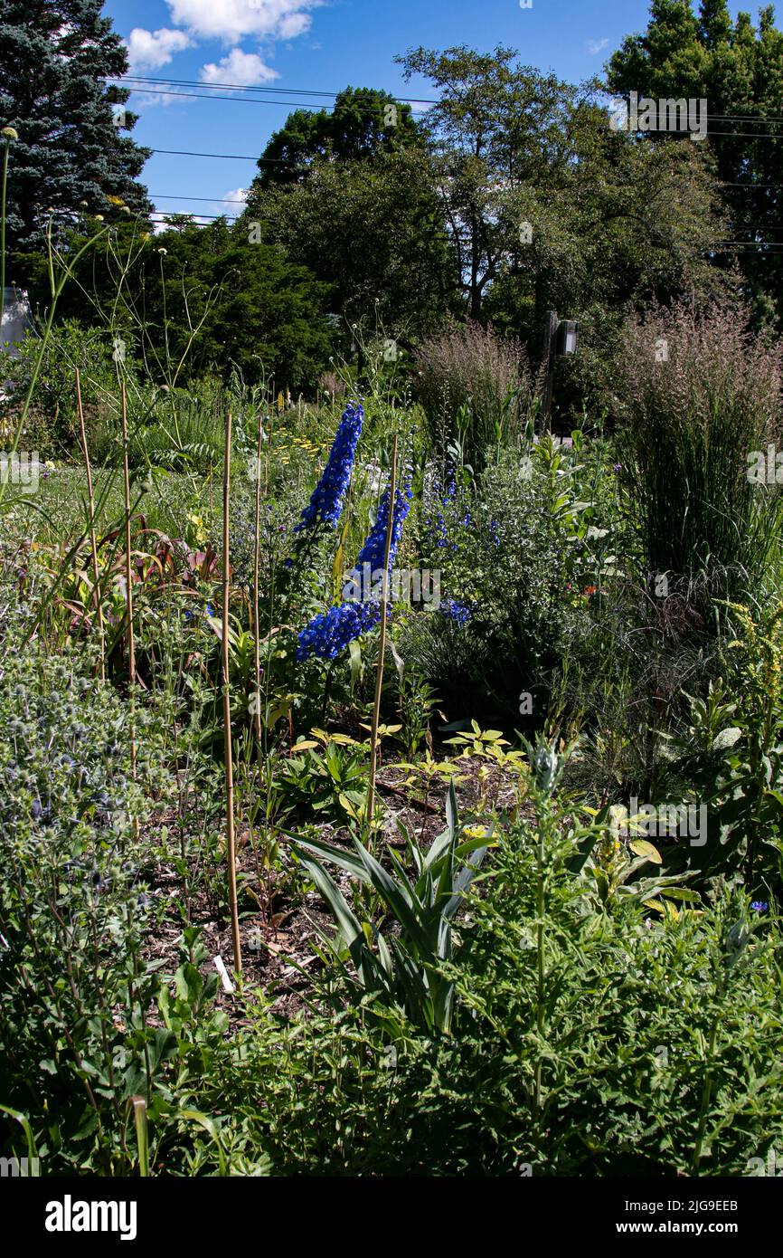 Berkshire Botanical Garden, Stockbridge Massachusetts, un jardin agricole éducatif pour les enfants et les adultes. ÉTATS-UNIS Banque D'Images