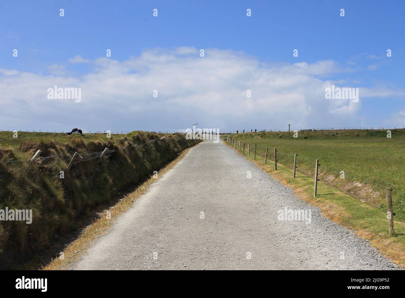 Routes sinueuses de l'anneau de Kerry, comté de Kerry, Irlande Banque D'Images