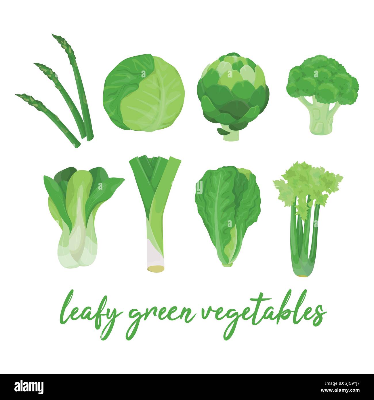 Collection de divers légumes verts à feuilles colorés dessinés à la main, isolés sur un fond blanc. Illustration de Vecteur