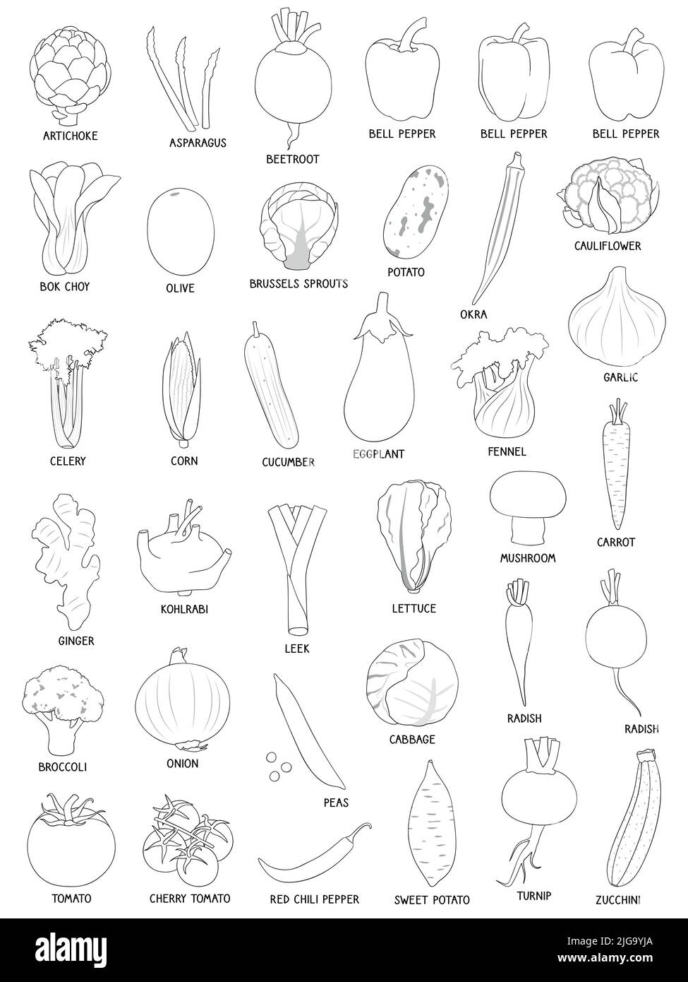 Collection de divers légumes dessinés à la main, contours noirs isolés sur fond blanc. Illustration de Vecteur