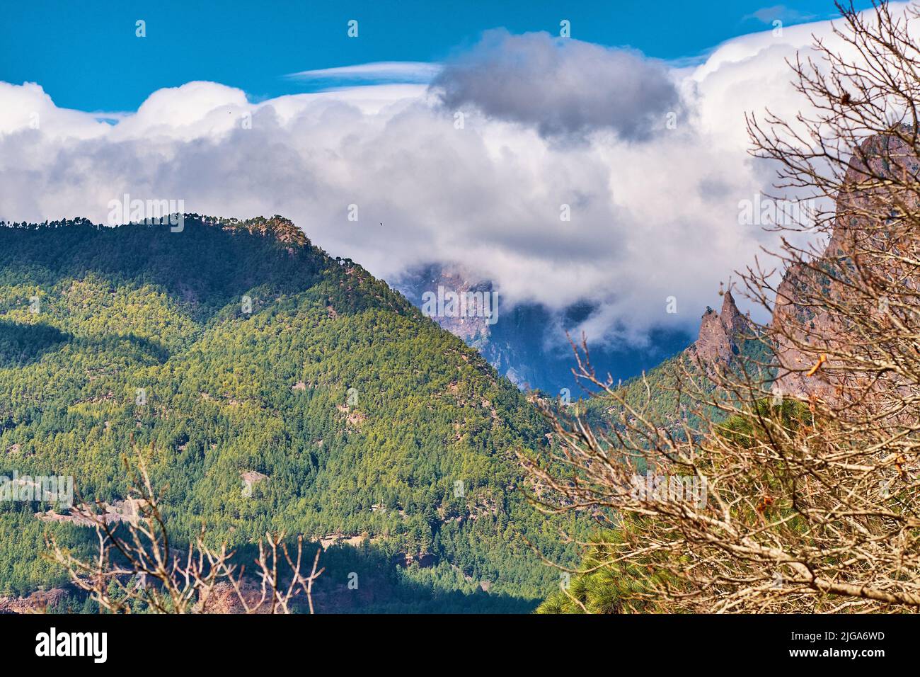 Paysage rocheux de montagnes, collines et arbres sans feuilles dans la région éloignée de la Palma, îles Canaries, Espagne. Vue panoramique sur la nature maternelle, ciel nuageux Banque D'Images