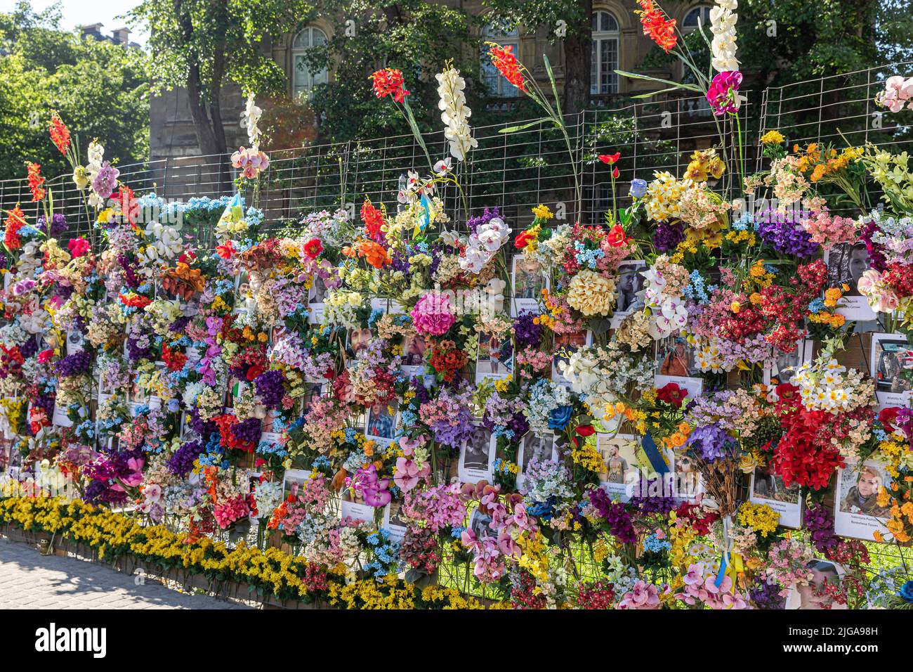 Un mur de mémoire est apparu dans le centre de Lviv en l'honneur des Ukrainiens qui sont morts (et pas seulement) dans la guerre menée contre nous par la Russie. Il s'agit d'une installation composée de photographies d'adultes et d'enfants de toute l'Ukraine qui sont morts pendant la guerre actuelle aux mains des occupants russes.tout le monde s'est approché du ìwallî et y a attaché des fleurs en l'honneur. L'événement a été organisé par Leo Soto, un américain de Miami, Floride, qui est venu en Ukraine spécifiquement à cette fin. Il a trouvé des photos des morts sur Internet, les a imprimées et les a plastifiées. Il a aussi acheté l'artimi Banque D'Images
