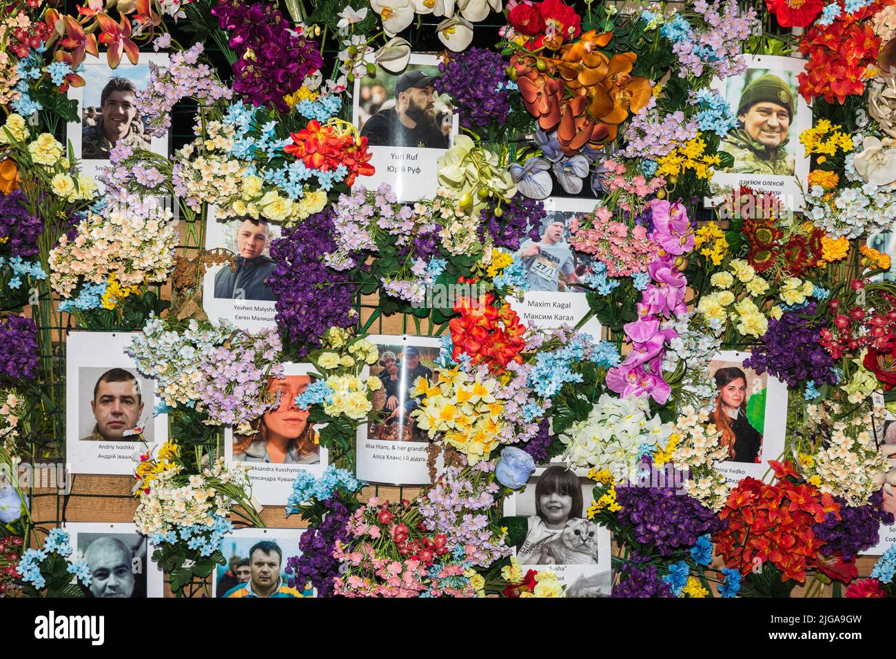 Un mur de mémoire est apparu dans le centre de Lviv en l'honneur des Ukrainiens qui sont morts (et pas seulement) dans la guerre menée contre nous par la Russie. Il s'agit d'une installation composée de photographies d'adultes et d'enfants de toute l'Ukraine qui sont morts pendant la guerre actuelle aux mains des occupants russes.tout le monde s'est approché du ìwallî et y a attaché des fleurs en l'honneur. L'événement a été organisé par Leo Soto, un américain de Miami, Floride, qui est venu en Ukraine spécifiquement à cette fin. Il a trouvé des photos des morts sur Internet, les a imprimées et les a plastifiées. Il a aussi acheté l'artimi Banque D'Images
