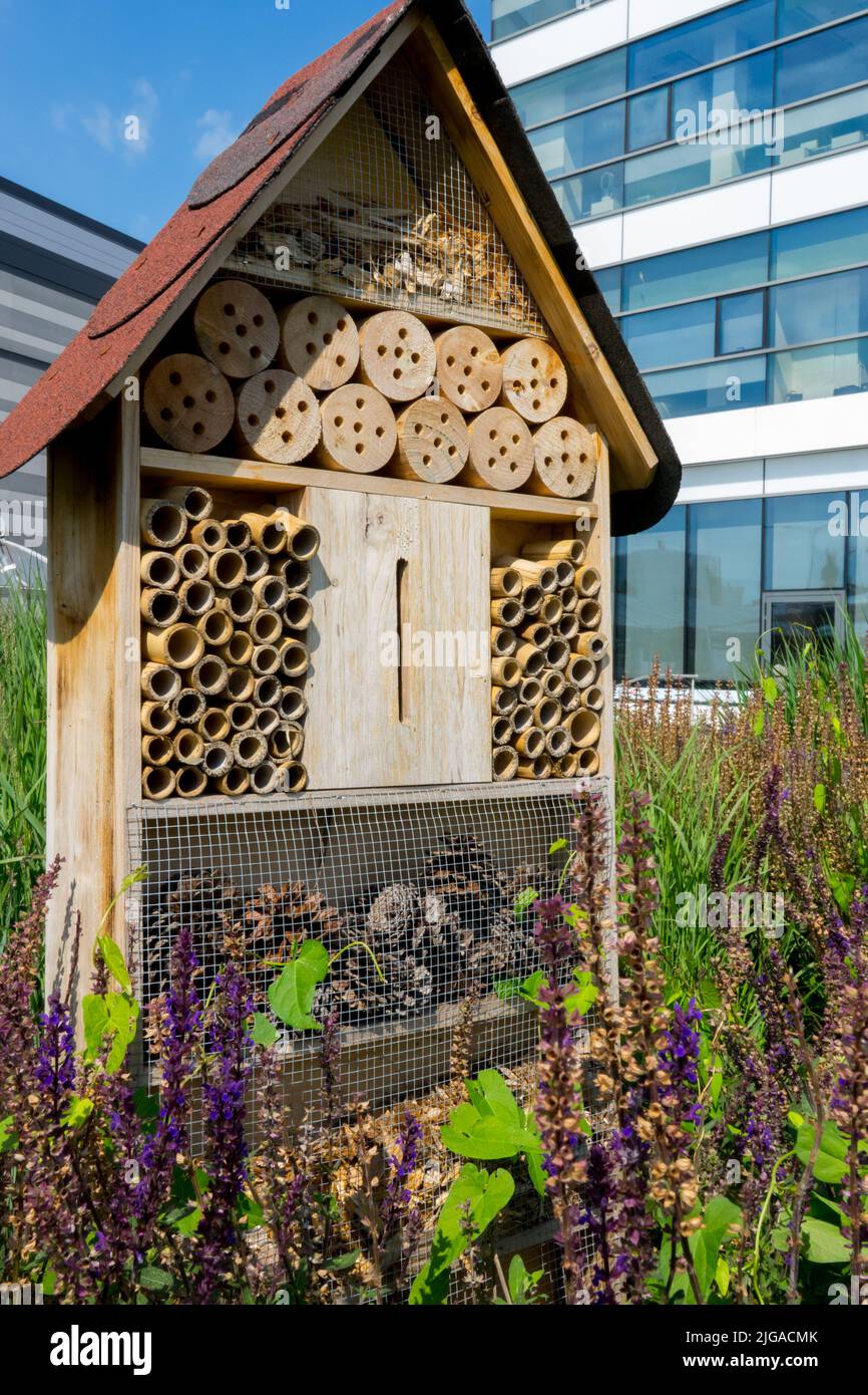 Bee Hotel Bug Hotel Insect Hotel Environmental Friendly Shelter Urban Garden City refuge place des insectes bénéfiques Banque D'Images
