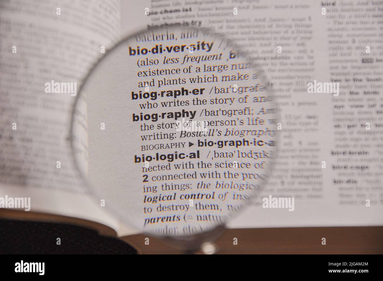 La définition du mot Biographie dans un dictionnaire, sous loupe, traducteur et concept de langue Banque D'Images