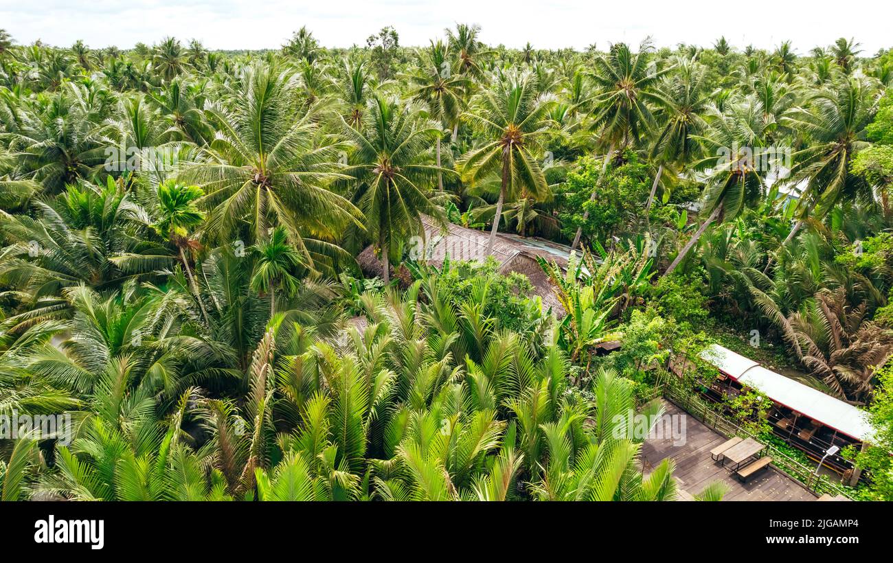Cabane sur le toit de paille dans la jungle tropicale de Ben Tre Vietnam avec quai et bateau le long de la côte du Mékong Banque D'Images