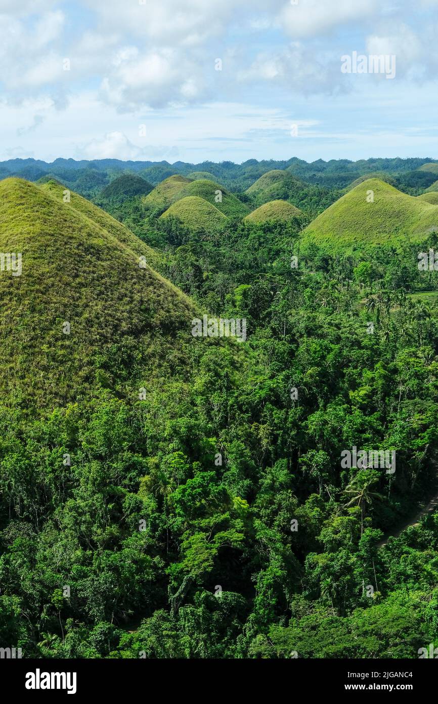 Les Chocolate Hills sont une formation géologique à l'île de Bohol, aux Philippines. Banque D'Images