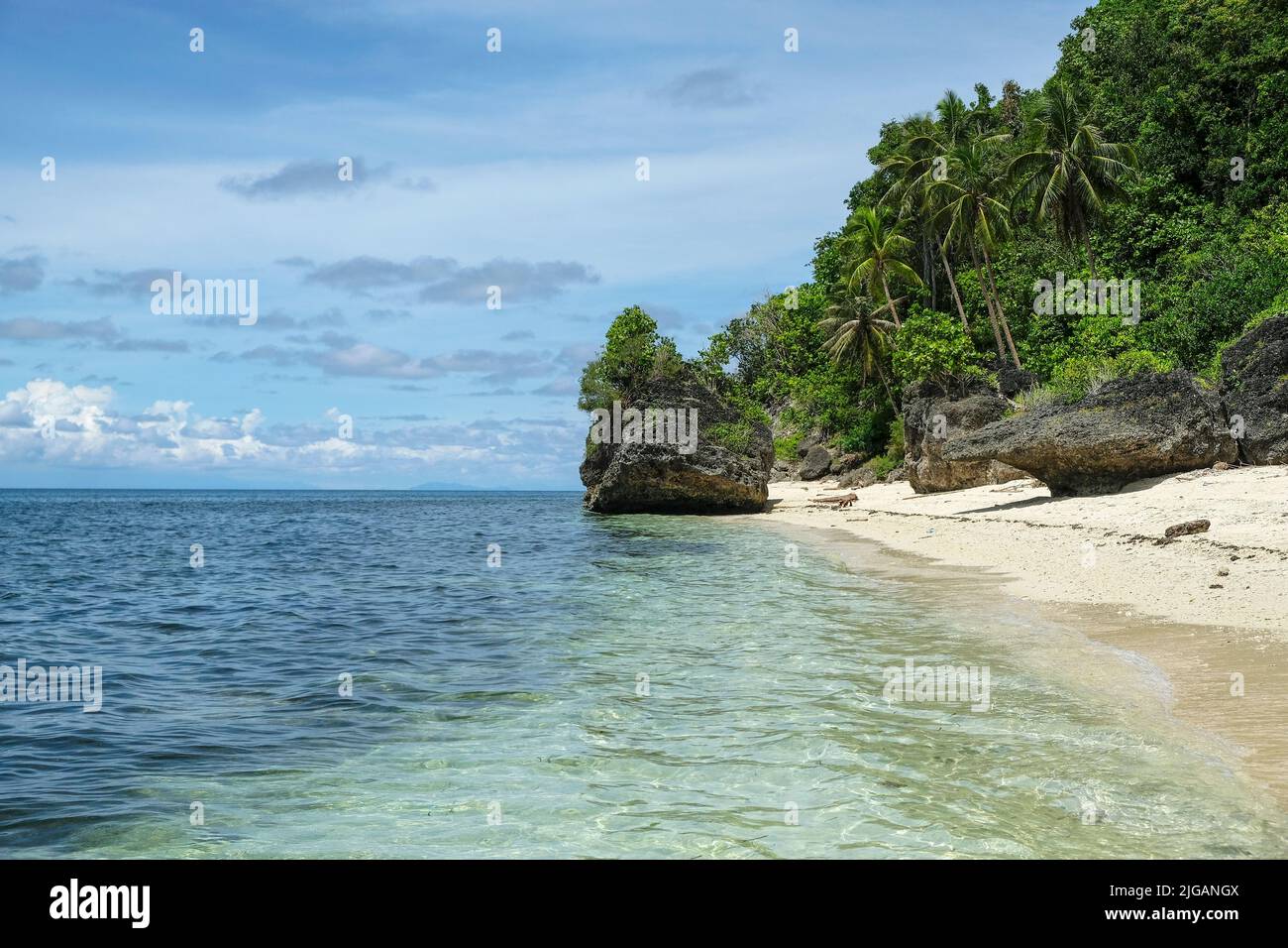 Vue sur Monkey Beach sur l'île de Siquijor, située dans la région de Central Visayas aux Philippines. Banque D'Images