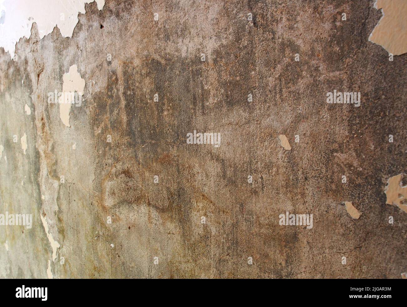 Vieux mur en béton de grunge avec peinture acrylique blanche enlevée.peinture préparation à la maison Banque D'Images