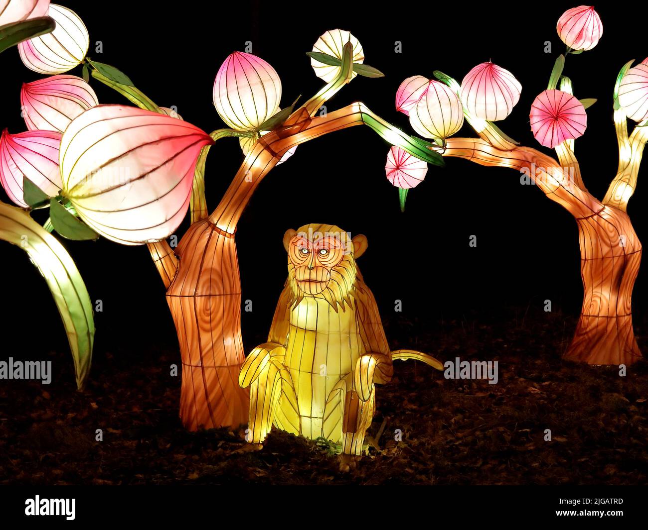 PAKRUOJIS / LITUANIE - 29 décembre 2019: Singe chinois traditionnel coloré au Festival de lumière les grandes lanternes de Chine Banque D'Images