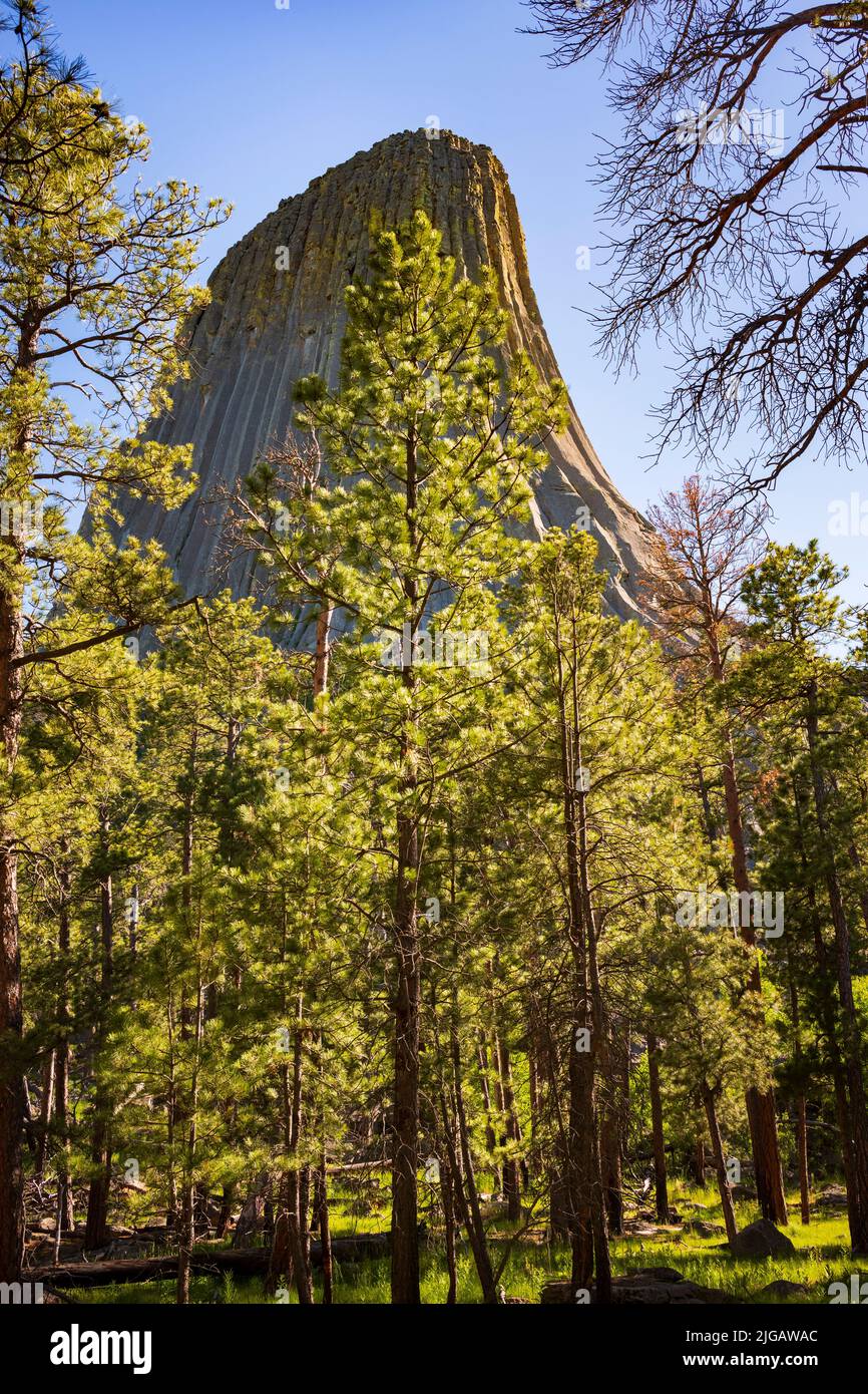 La tour Devils, une caractéristique géologique qui dépasse de la prairie des Black Hills, est considérée comme sacrée par les Indiens des plaines du Nord et l'une d'entre elles Banque D'Images