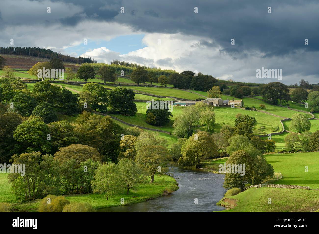 Paysage rural pittoresque de la vallée du Yorkshire Dales (rivière Wharfe, ferme traditionnelle, colline, arbres au bord de la rivière, murs en pierre) - Wharfedale, Angleterre, Royaume-Uni. Banque D'Images