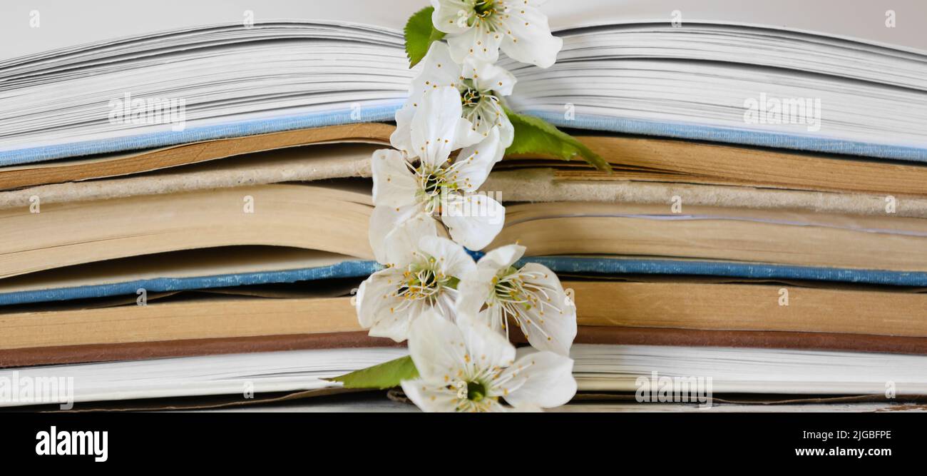 Livres ouverts et belles fleurs de printemps, gros plan Banque D'Images