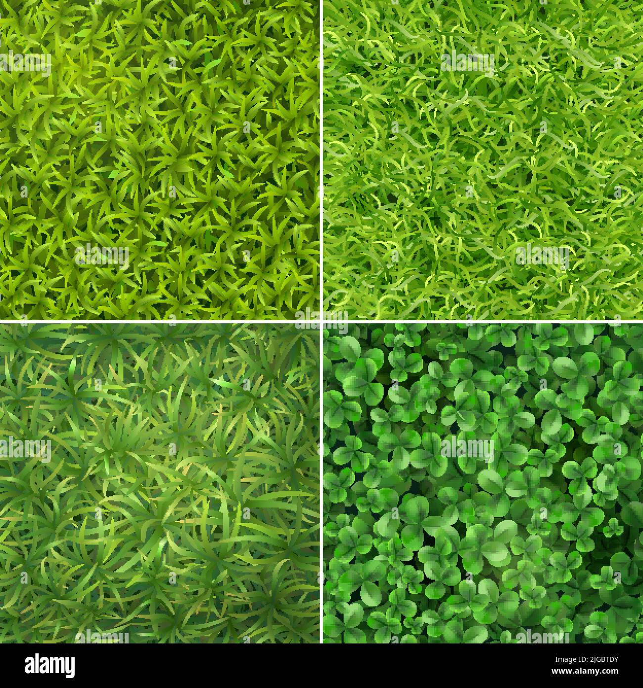 Surface de couverture plantes vue du dessus 4 carrés réalistes ensemble avec aiguille verte herbe de trèfle feuilles illustration vectorielle Illustration de Vecteur