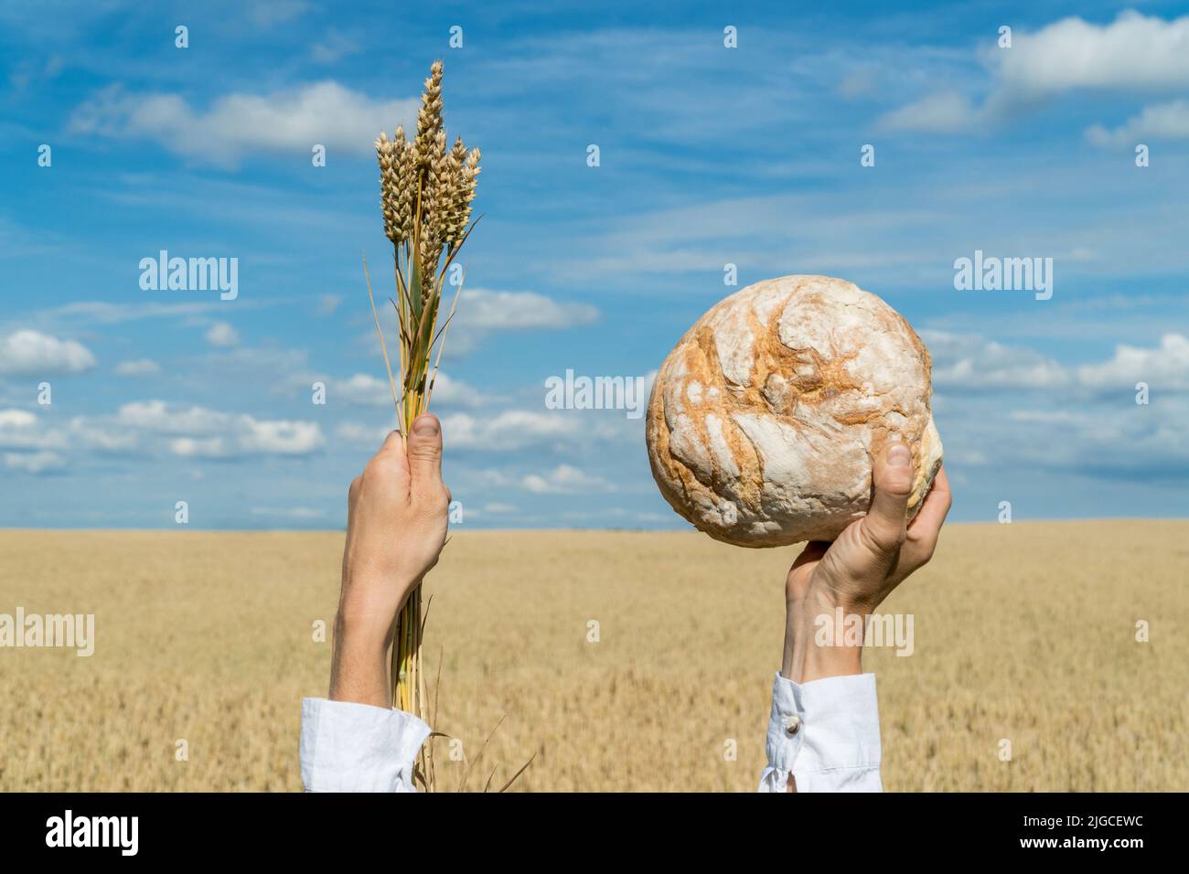 Mains de sexe masculin tenant le pain cuit maison et les oreilles de blé au-dessus de sa tête sur un ciel bleu d'été. Concept de production alimentaire Banque D'Images