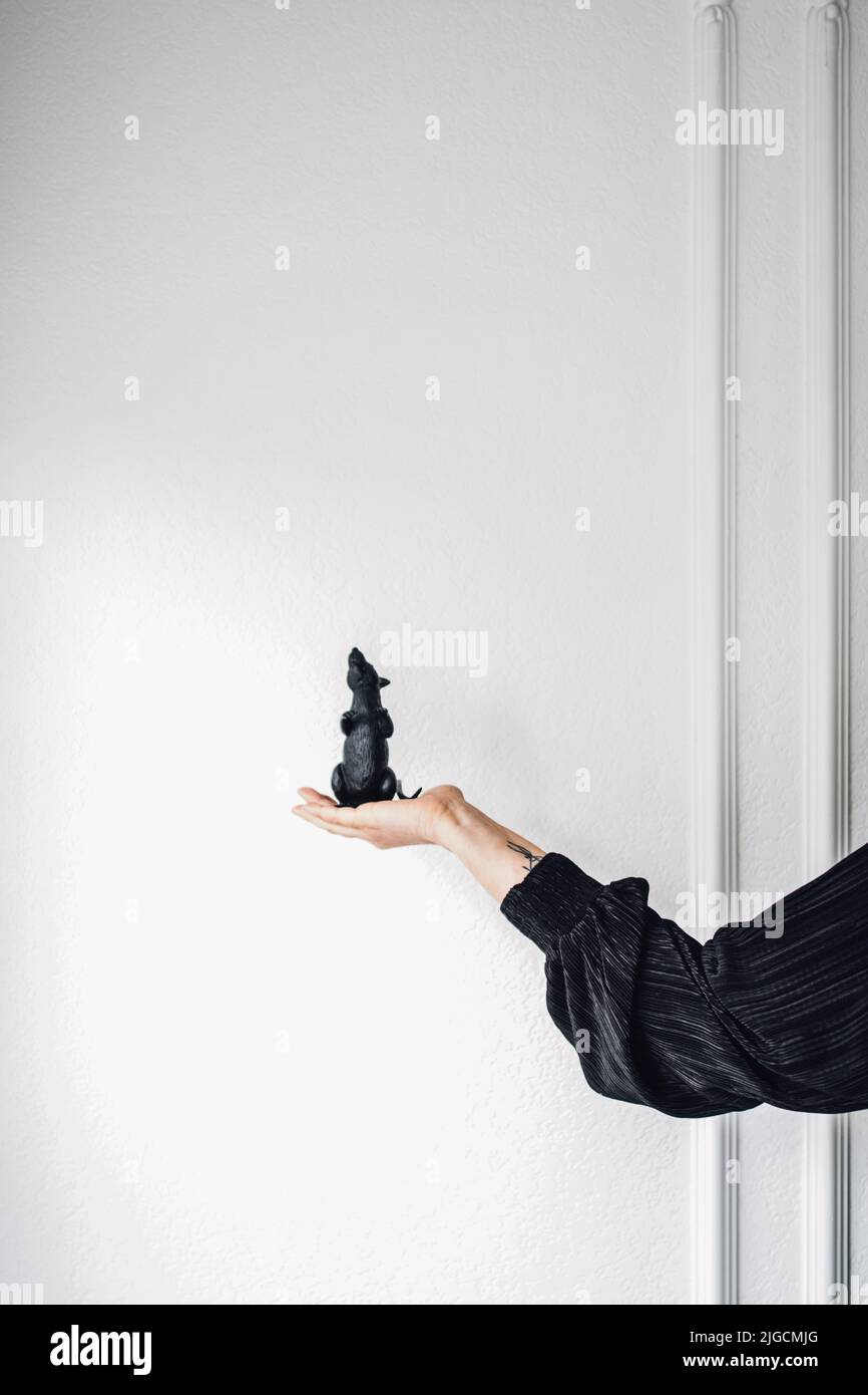 femme noire à manches longues tenant une sculpture de rat en caoutchouc noir contre un mur blanc avec moulure Banque D'Images