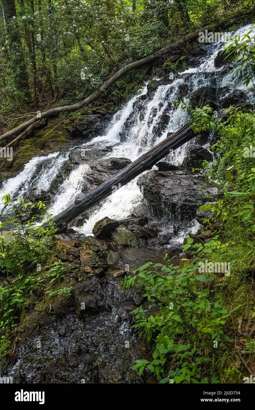 En été, vue sur les magnifiques chutes de Trahlyta au parc national de Vogel, dans les Blue Ridge Mountains de Géorgie. (ÉTATS-UNIS) Banque D'Images