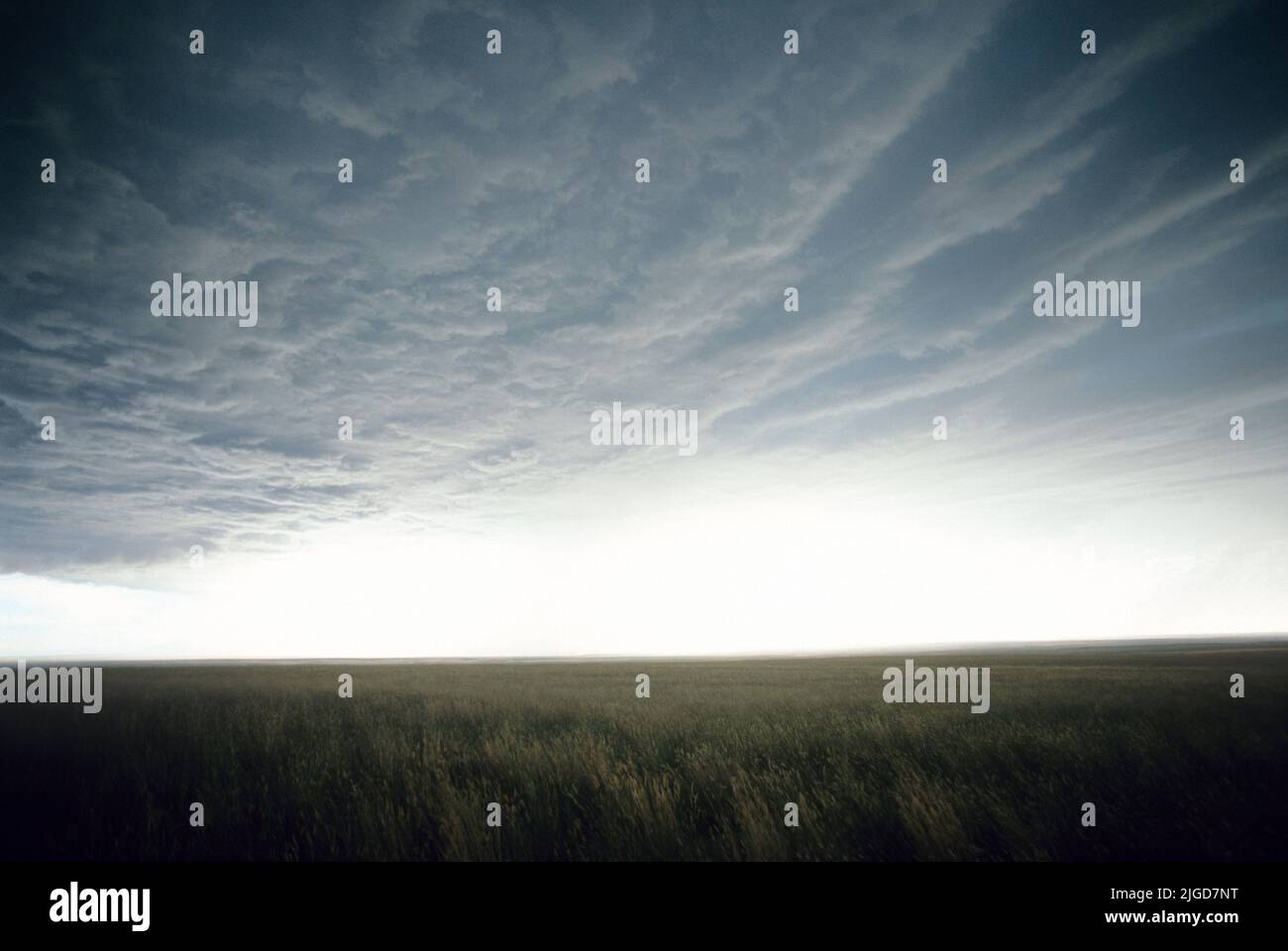 Nuages de tempête sur les plaines orientales du Montana, États-Unis Banque D'Images