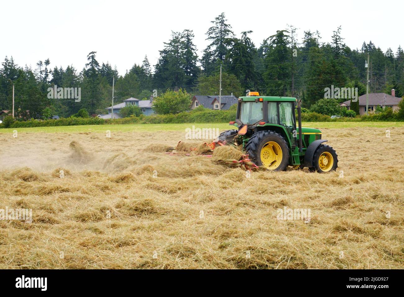 Tracteur agricole fauchant le champ de foin. Banque D'Images