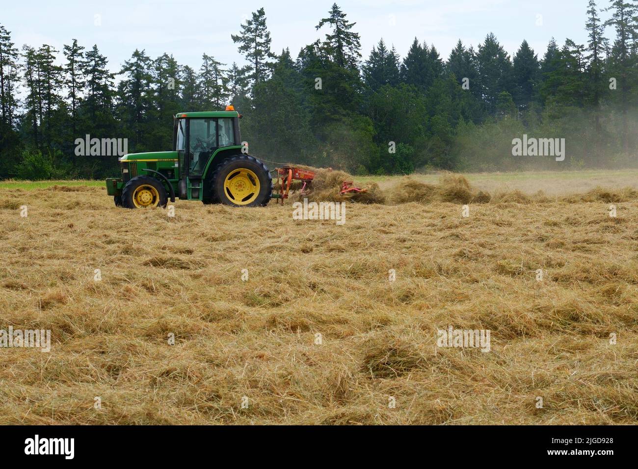 Tracteur agricole fauchant le champ de foin. Banque D'Images
