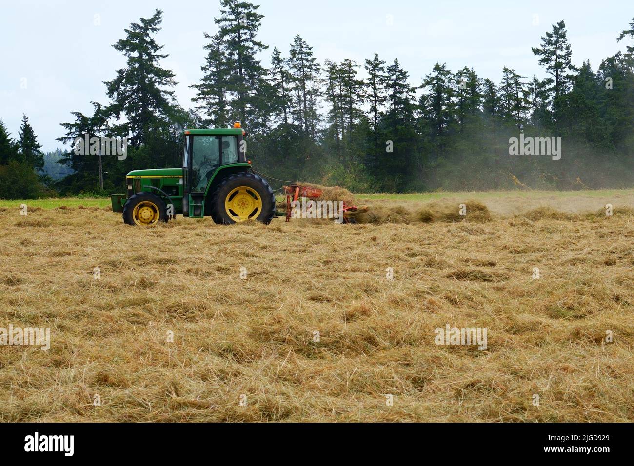 Tracteur agricole fauchant le champ de foin. Banque D'Images