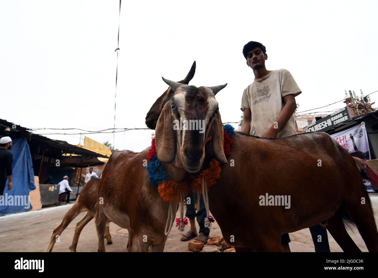 New Delhi, New Delhi, Inde. 10th juillet 2022. Matin de l'espoir .Goat vente d'attente de vendeur pendant la communauté musulmane a célébré le festival du sacrifice en offrant Namaz à la mosquée Jama Masjid 0n Eid al-Adha à New Delhi le dimanche (Credit image: © Ravi Batra/ZUMA Press Wire) Banque D'Images