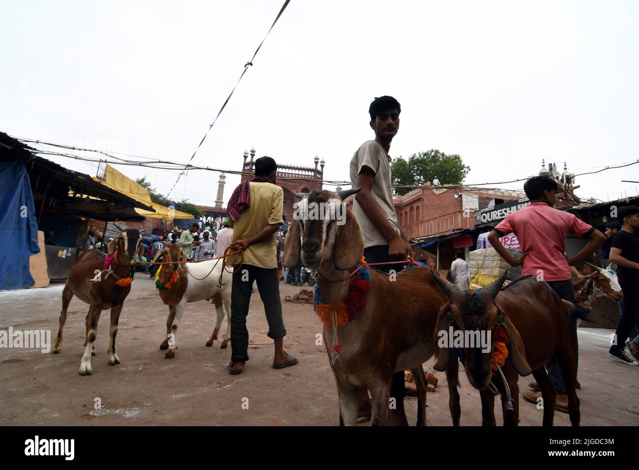 New Delhi, New Delhi, Inde. 10th juillet 2022. Matin de l'espoir .Goat vente d'attente de vendeur pendant la communauté musulmane a célébré le festival du sacrifice en offrant Namaz à la mosquée Jama Masjid 0n Eid al-Adha à New Delhi le dimanche (Credit image: © Ravi Batra/ZUMA Press Wire) Banque D'Images