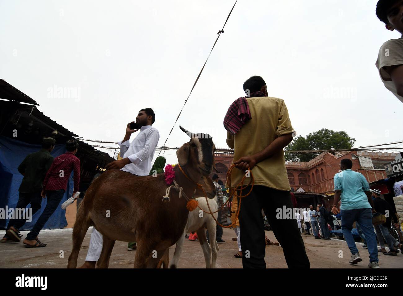 New Delhi, New Delhi, Inde. 10th juillet 2022. Matin de l'espoir .Goat vente d'attente de vendeur pendant la communauté musulmane a célébré le festival du sacrifice en offrant Namaz à la mosquée Jama Masjid 0n Eid al-Adha à New Delhi le dimanche (Credit image: © Ravi Batra/ZUMA Press Wire) Banque D'Images
