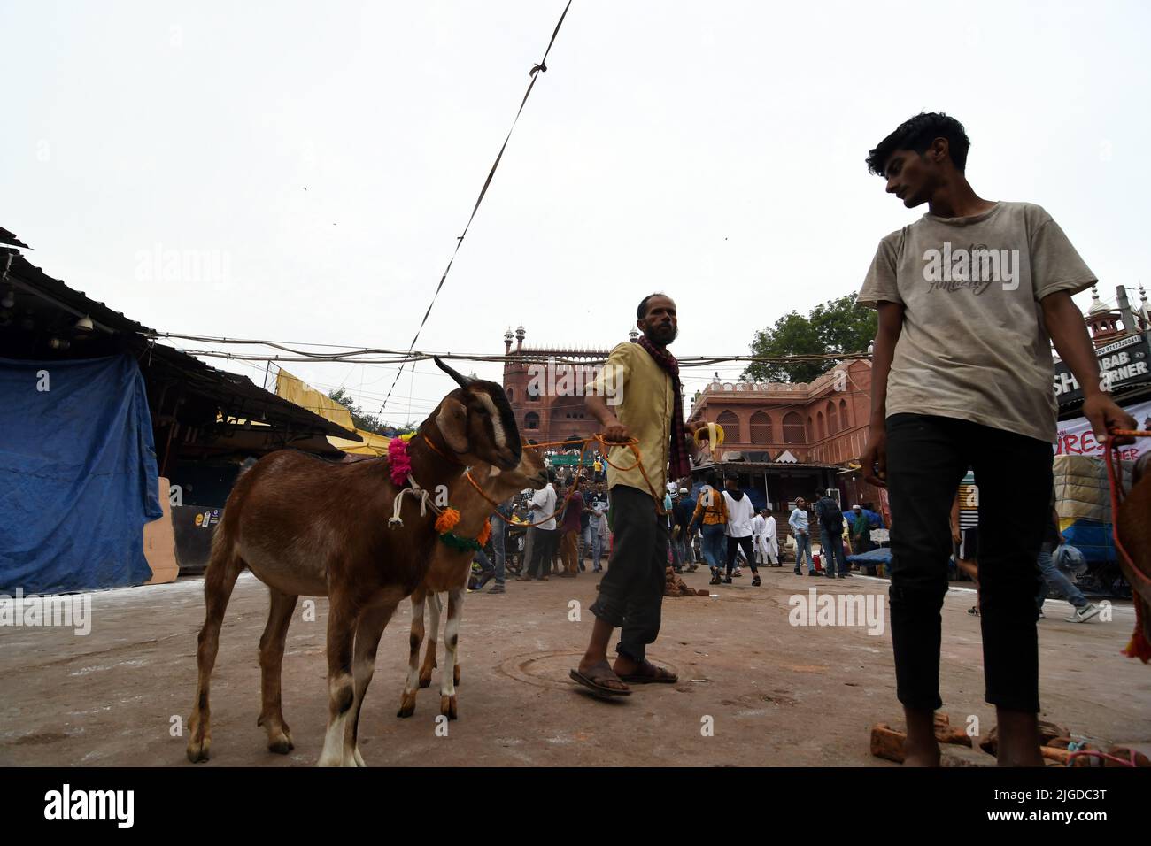 New Delhi, New Delhi, Inde. 10th juillet 2022. Matin de l'espoir .Goat vente d'attente de vendeur pendant la communauté musulmane a célébré le festival du sacrifice en offrant Namaz à la mosquée Jama Masjid 0n Eid al-Adha à New Delhi le dimanche (Credit image: © Ravi Batra/ZUMA Press Wire) Banque D'Images
