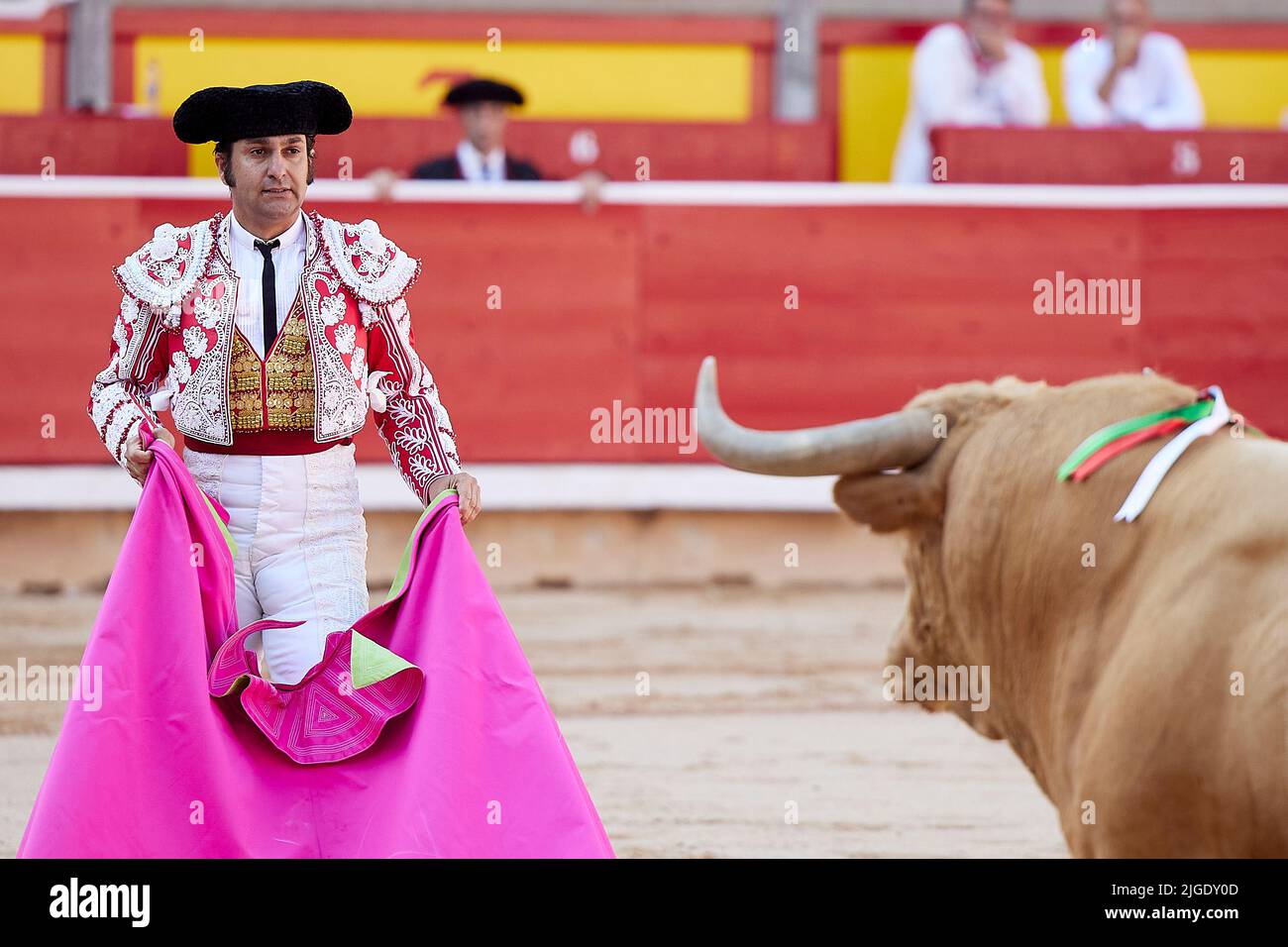 le-taureau-espagnol-morante-de-la-puebla-d-fie-un-nunez-del-cuvillo-qui