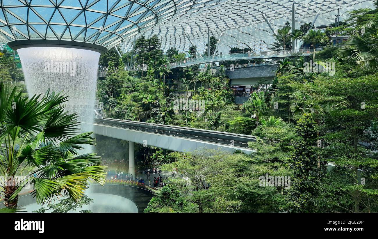 Des trains SKY passent devant la chute d'eau du toit dans le quartier de « Jewel », terminal 1, aéroport de Changi, Singapour sur 26 janvier 2020 Banque D'Images