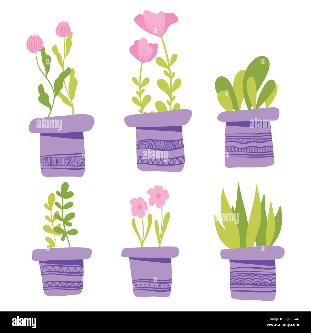 Ensemble de plantes et fleurs Vector simples en pots. Illustration vectorielle plate Illustration de Vecteur