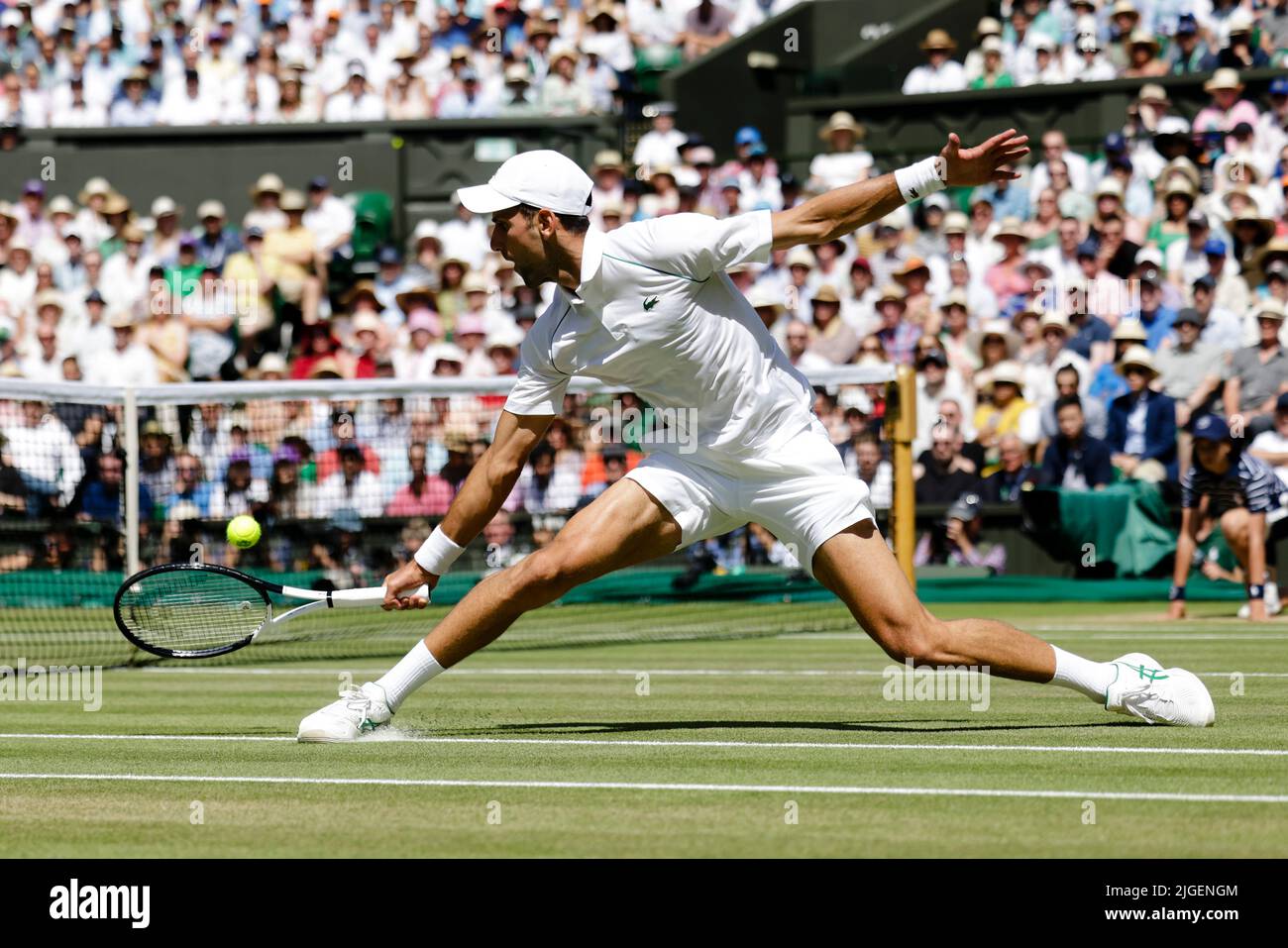 Londres, Royaume-Uni, 10th juillet 2022 : Novak Djokovic est en action lors de la finale masculine aux Championnats de Wimbledon 2022 au All England Lawn tennis and Croquet Club de Londres. Credit: Frank Molter/Alamy Live News Banque D'Images