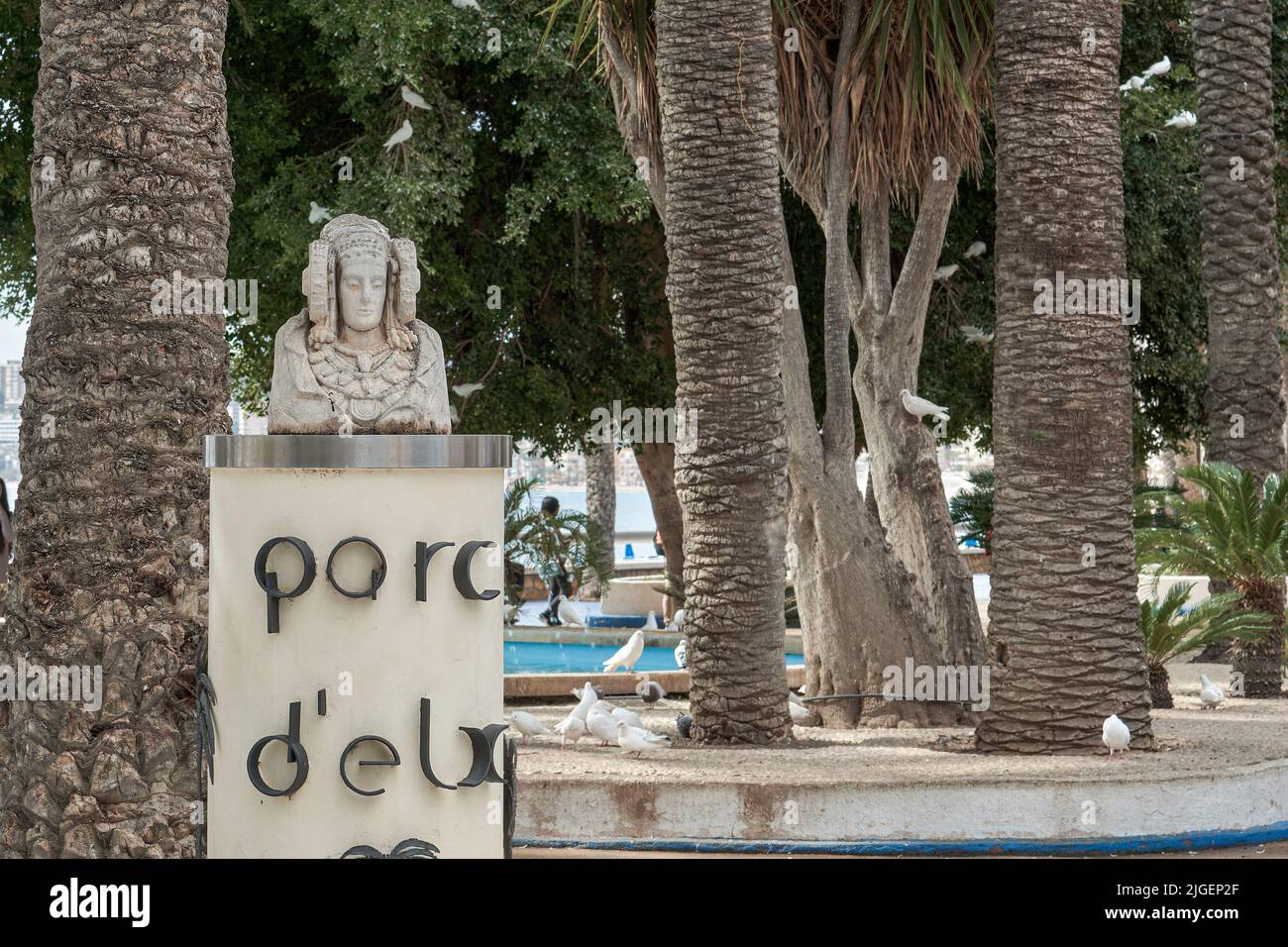 Buste de la Dame d'Elche dans le parc entouré de palmiers, avec une fontaine et de nombreux pigeons à Benidorm, Alicante, Espagne, Europe Banque D'Images