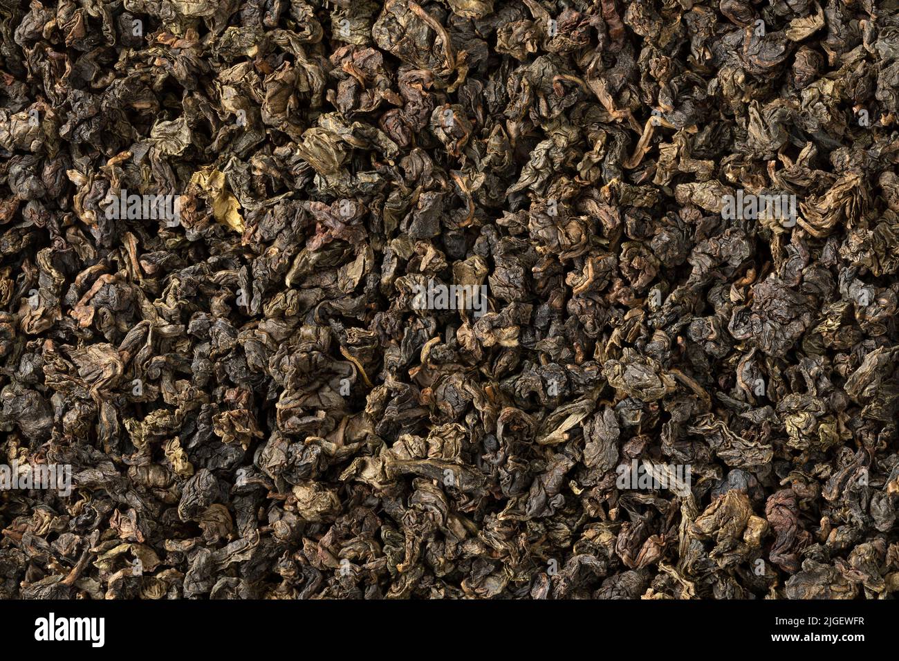 Les feuilles de thé Oolong se Chung chinoises séchées rapprochent le cadre complet comme arrière-plan Banque D'Images