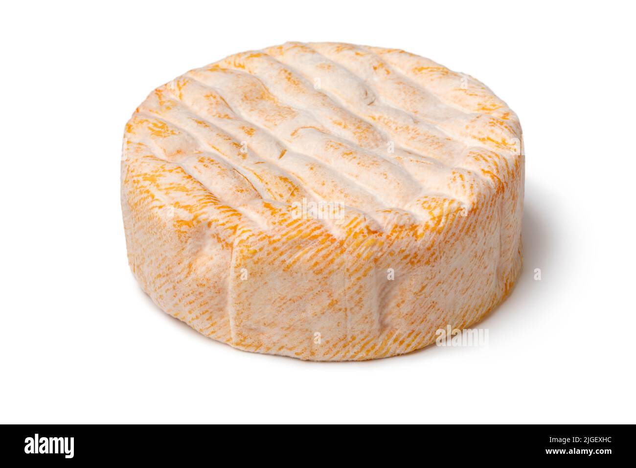 Un fromage français entier et vieilli à la croûte lavée à l'orange de la chaîne de montagnes des Vosges isolé sur fond blanc de près Banque D'Images