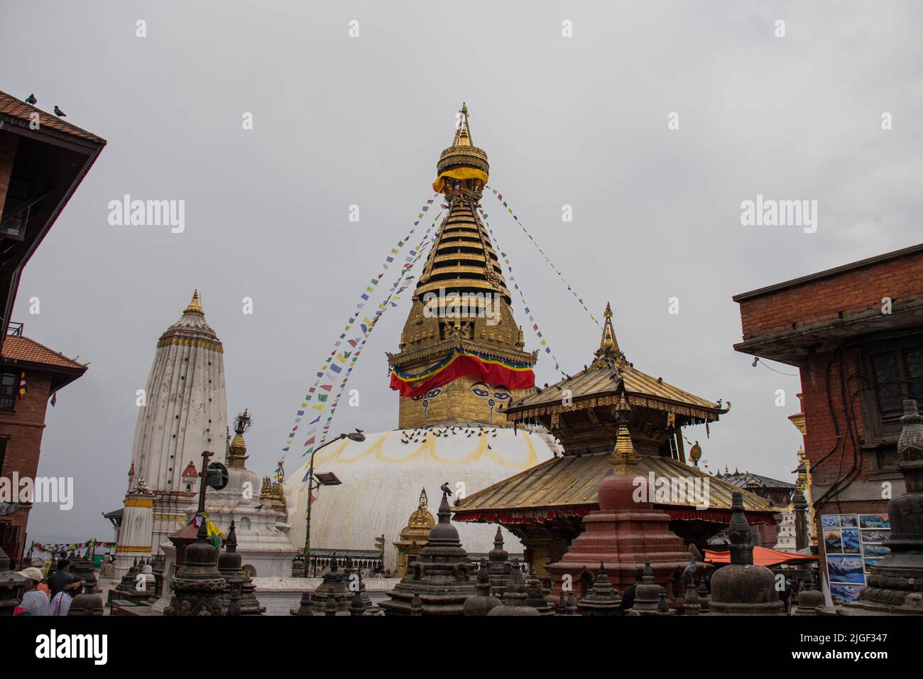 Swayambhunath Stupa Monkey Temple à Katmandou Népal Banque D'Images