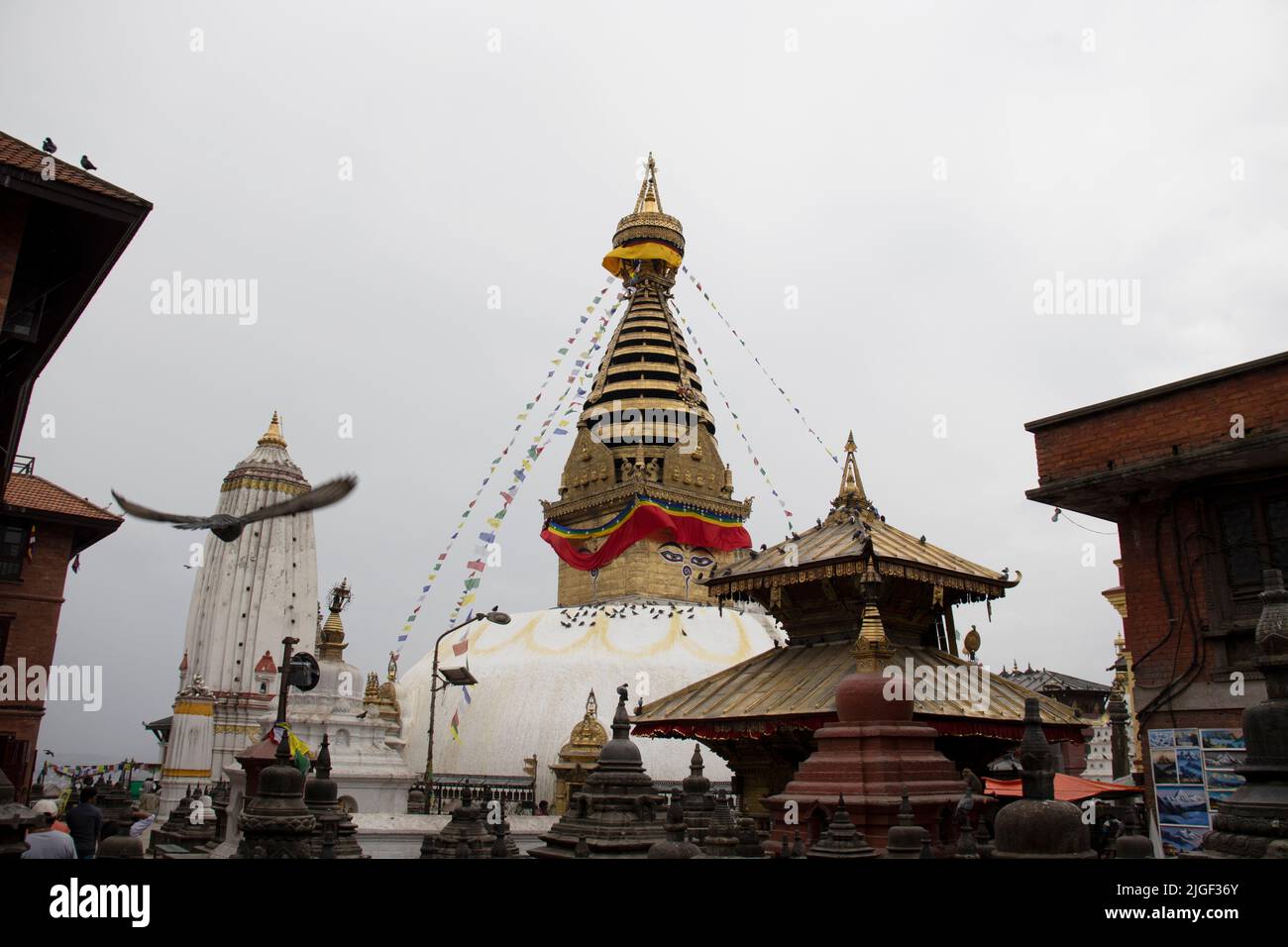 Swayambhunath Stupa Monkey Temple à Katmandou Népal Banque D'Images