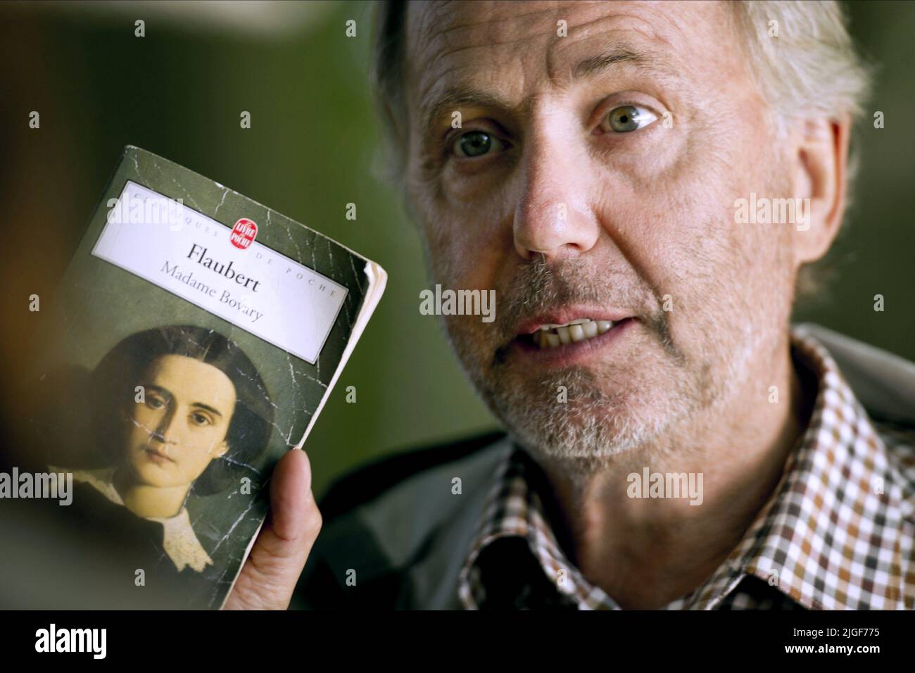 FABRICE LUCHINI, GEMMA BOVERY, 2014 Banque D'Images