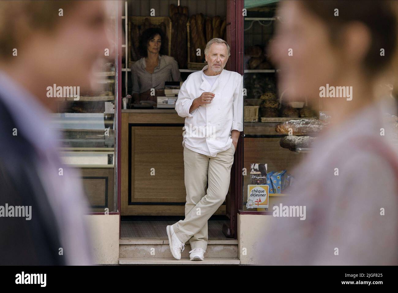 NIELS SCHNEIDER, FABRICE LUCHINI, GEMMA ARTERTON, GEMMA BOVERY, 2014 Banque D'Images