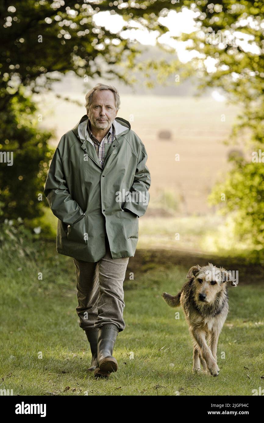 FABRICE LUCHINI, GEMMA BOVERY, 2014 Banque D'Images