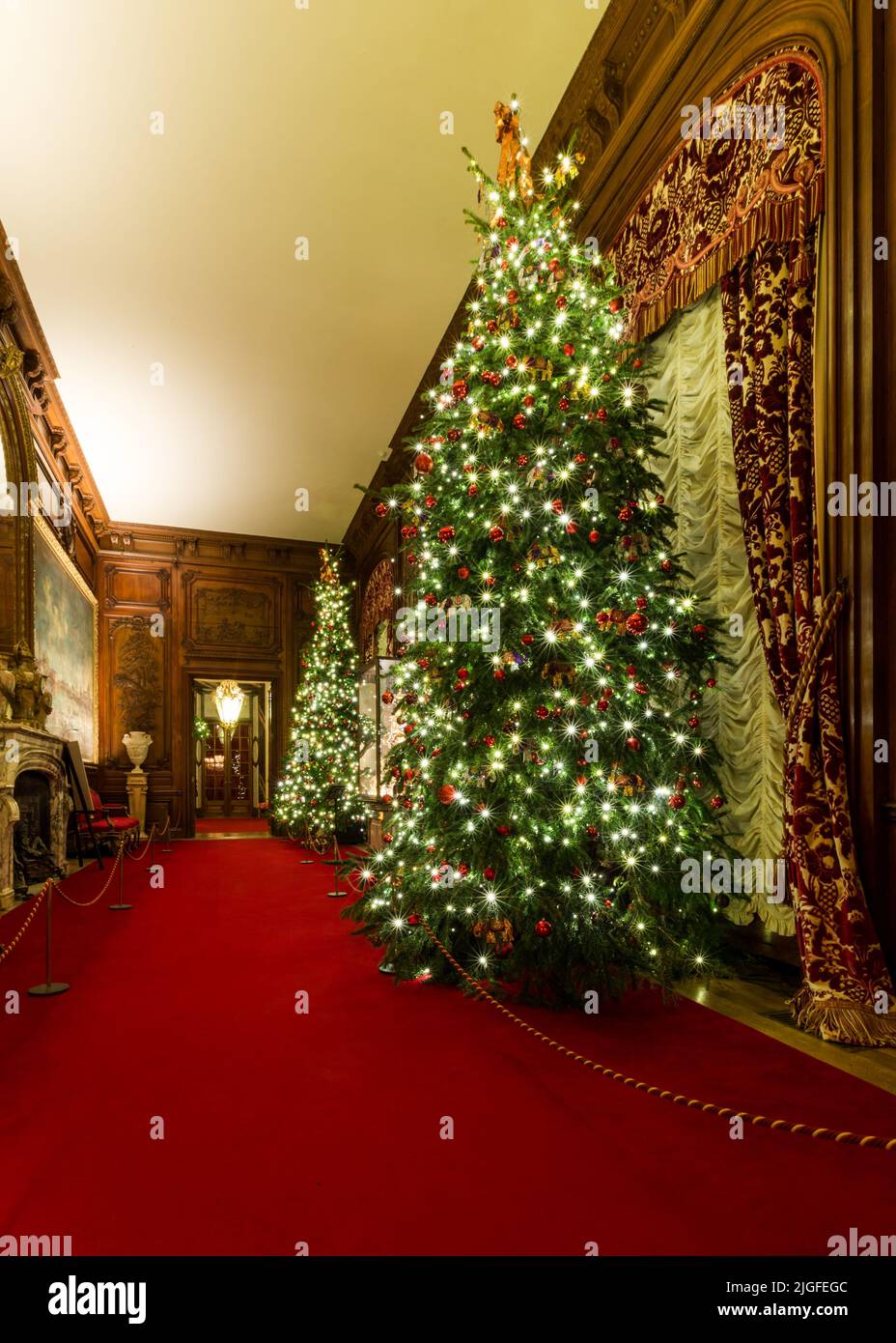 Waddesdon Manor dans Buckinghamshire à la recherche étonnante, a mis en avant pour Noël avec des arbres de Noël, des lumières illuminées et d'autres décorations de fête. Banque D'Images