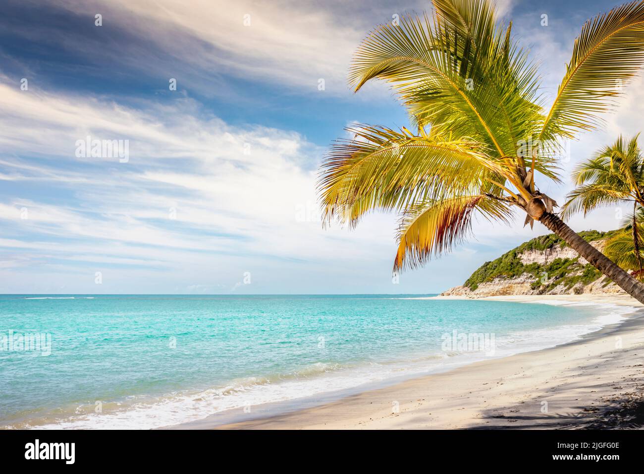 Plage de sable isolée à Porto Seguro praia do espelho Beach, Bahia, Brésil Banque D'Images