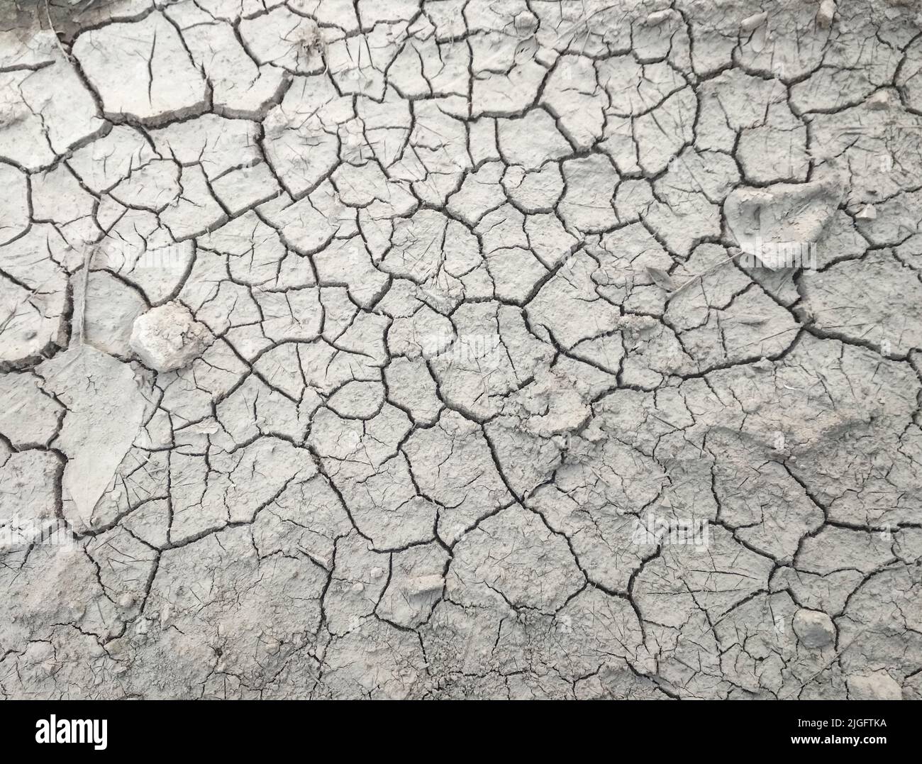 Texture gris terre séchée. Motifs et textures sol fissuré. Le sol présente des fissures dans la vue de dessus pour l'arrière-plan ou la conception graphique avec le conc Banque D'Images