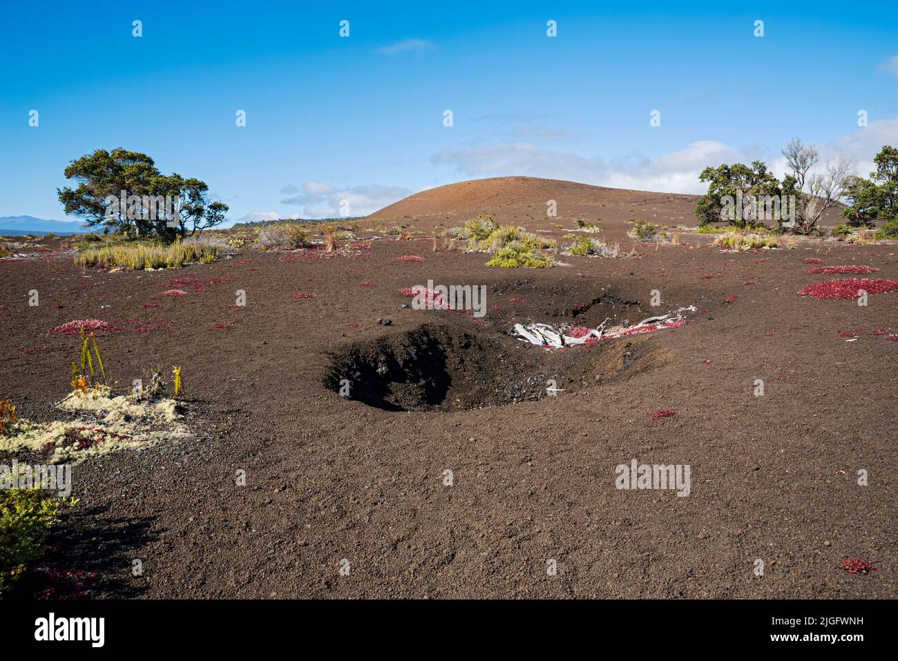 cône de cendre pu'upua'i et végétation le long du sentier de la corniche au parc national des volcans d'hawaï Banque D'Images