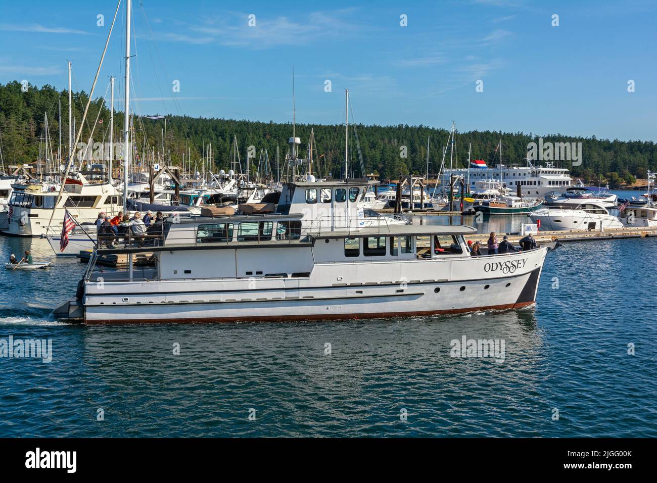 Washington, île de San Juan, bateau d'observation des baleines au départ de Friday Harbor Banque D'Images