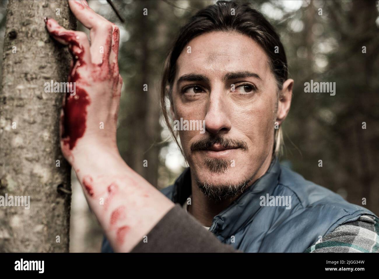 ERIC BALFOUR, BLACKFOOT TRAIL, 2014 Banque D'Images